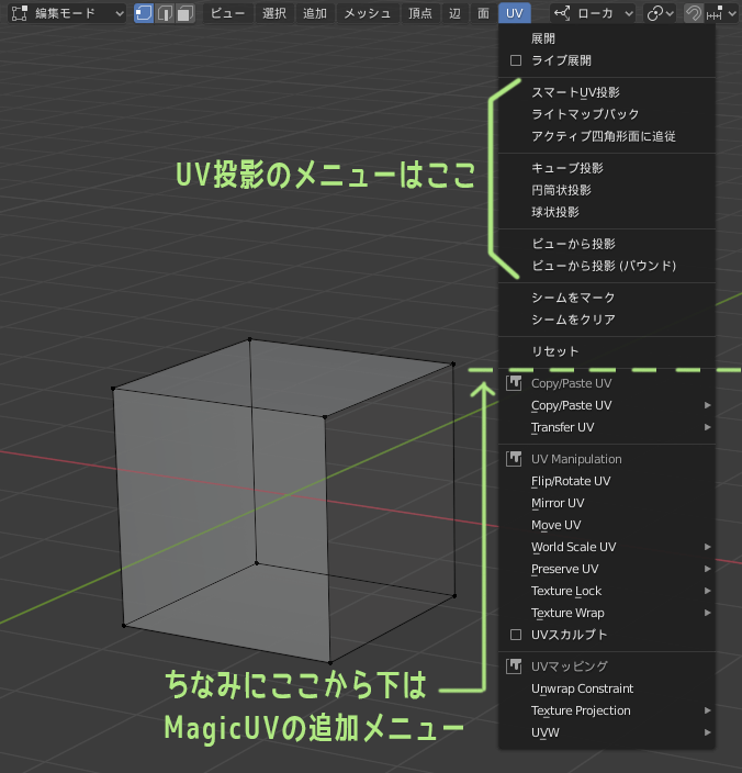 Projection menu, including projection from Blender view